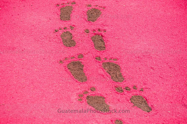 Detalle de la alfombra del Paseo de la Sexta Avenida