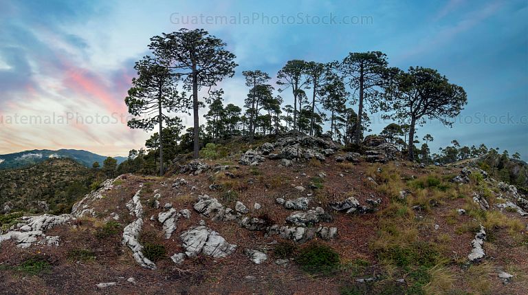 La Torre, Los cuchumatanes, Huehuetenango