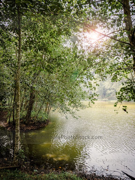 Paisaje urbano de pequeña laguna