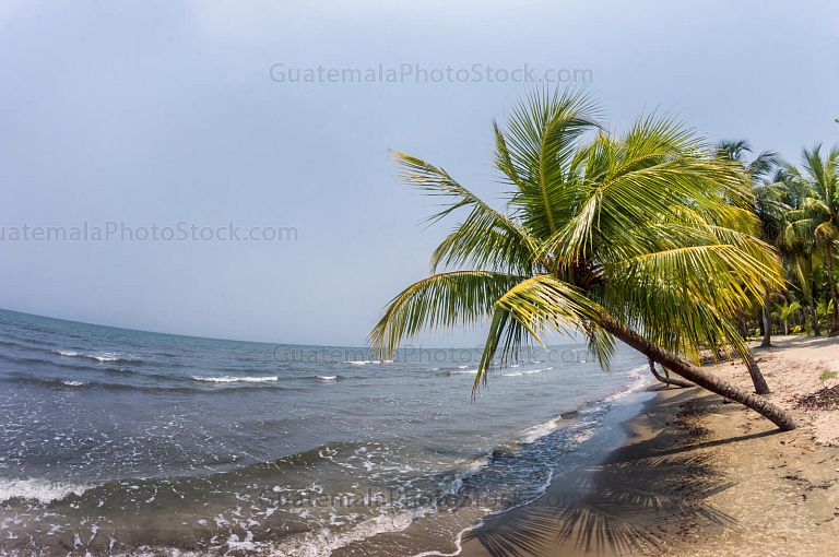 Playa Quehueche