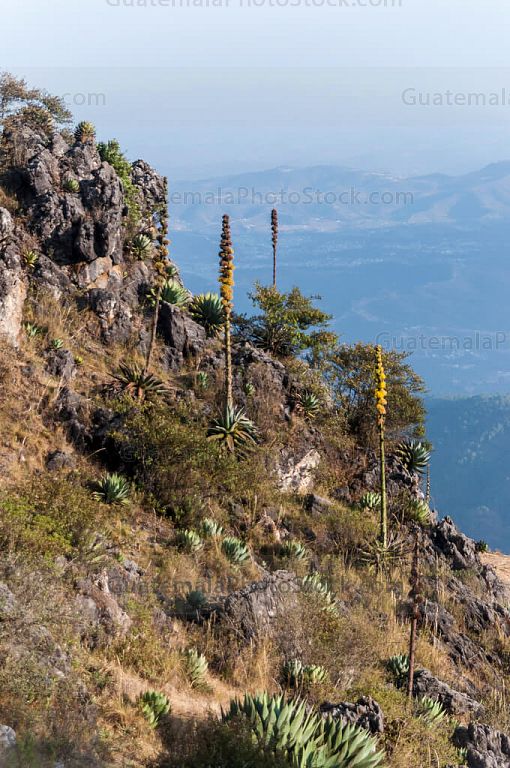 Paisaje de la Sierra de los Cuchumatanes