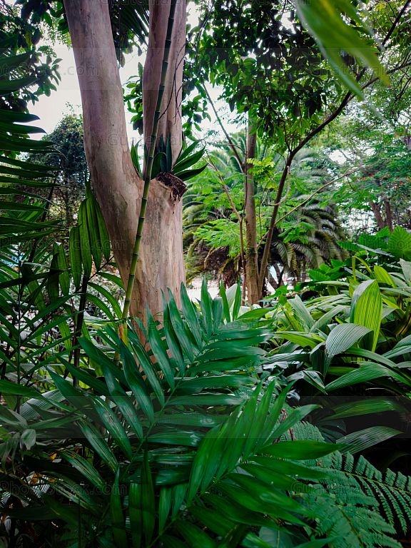 Jardinización en el Cerrito del carmén
