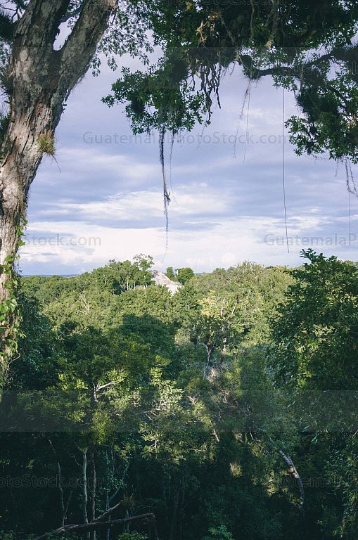 Yaxhá