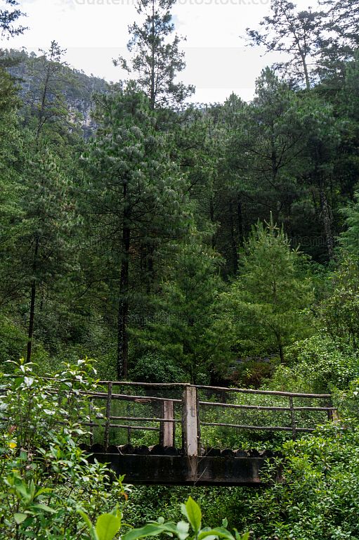 Sendero La Maceta
