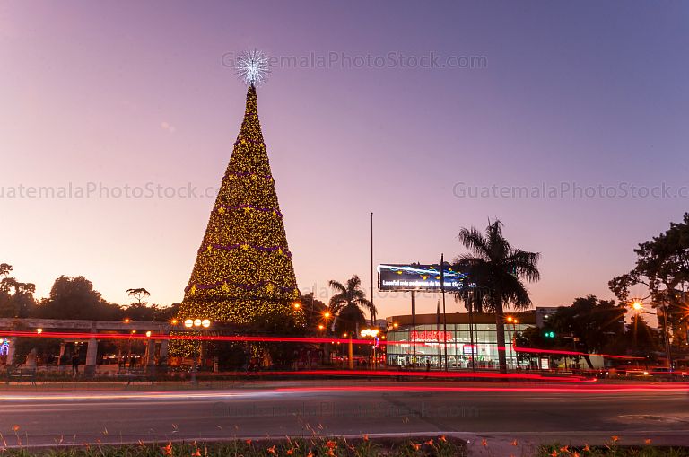 Árbol navideño en el Obelisco