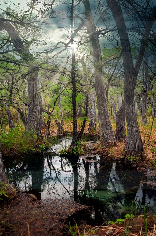 Nacimiento del Río Lagartero