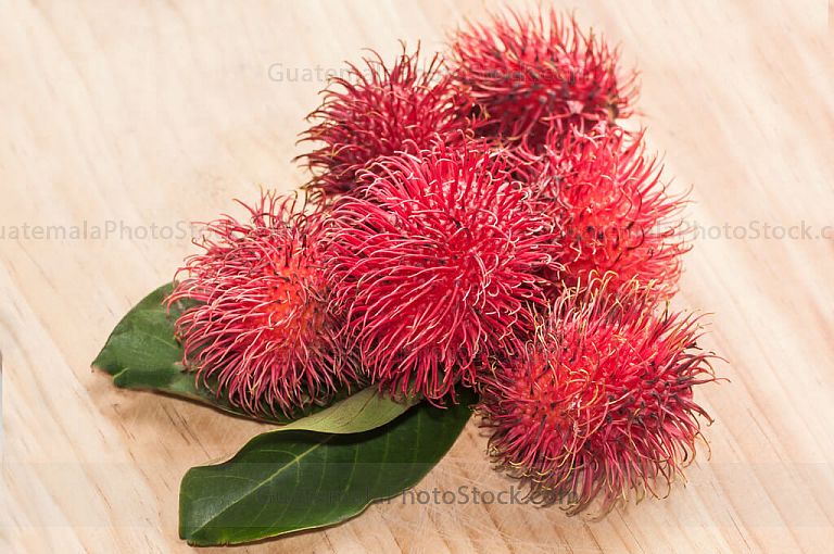 Rambutanes o lichas