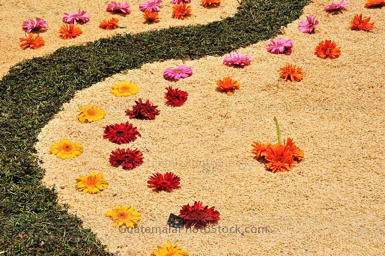 Alfombra de aserrín y flores