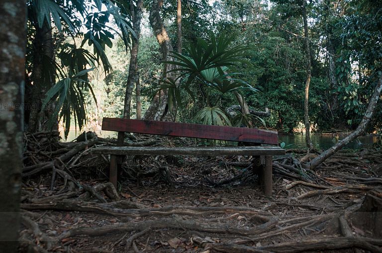 Parque Ecológico Las Conchas