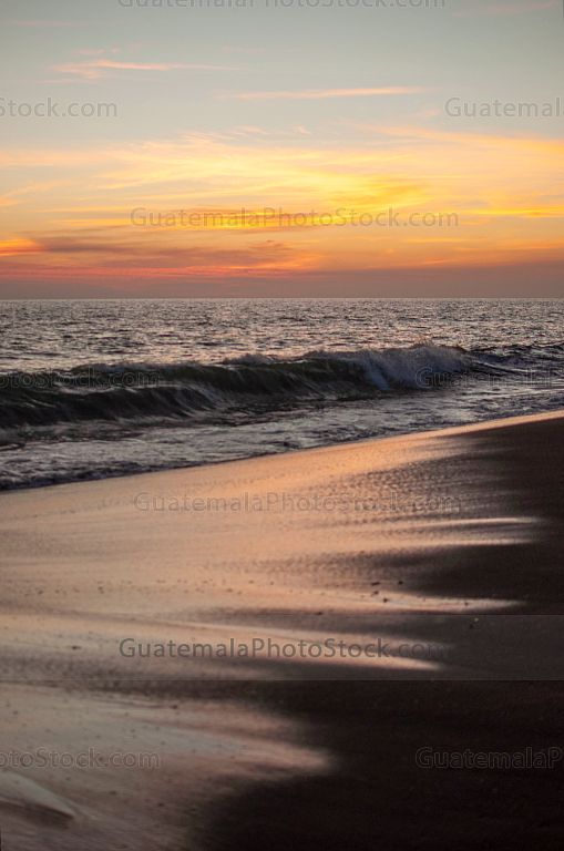 Playa de Monterrico