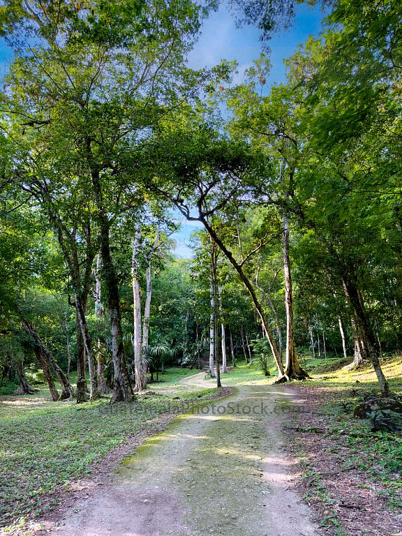 Sendero en Yaxhá