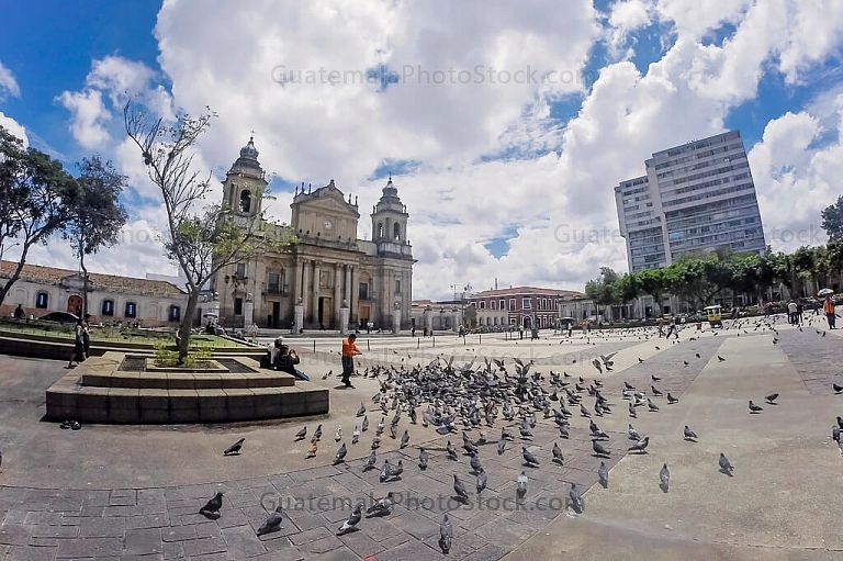 Catedral Metropolitana
