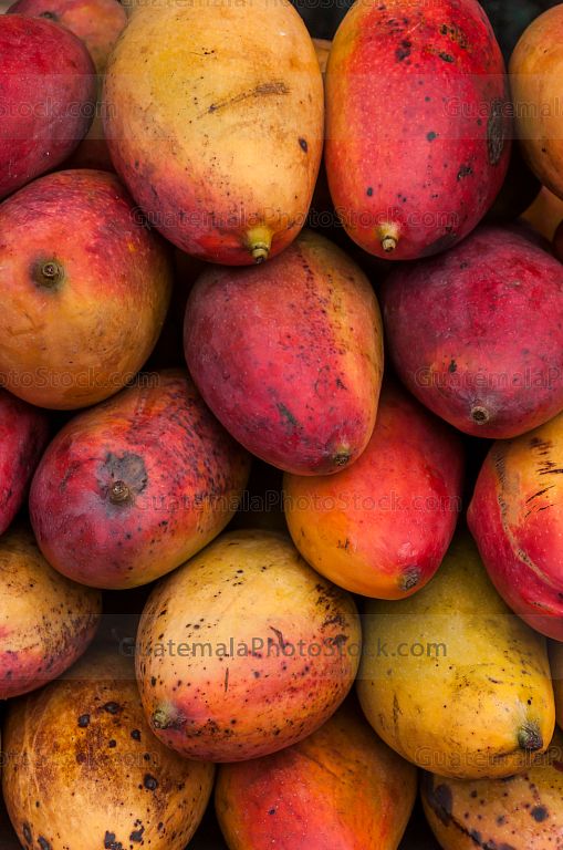 Mangos