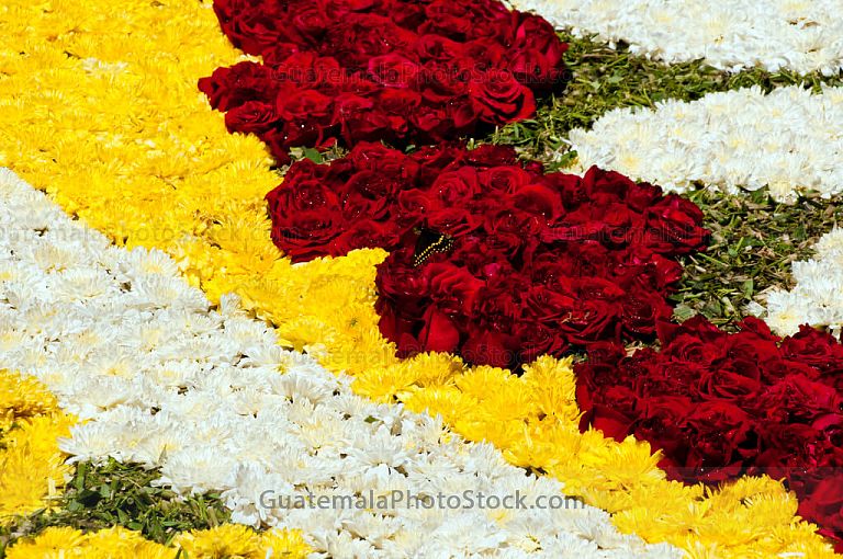 Alfombra de aserrín