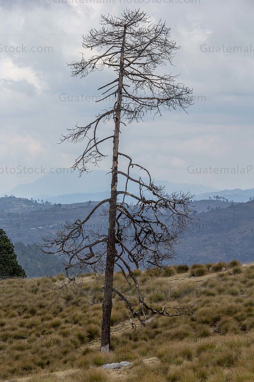 Paisaje en la cubre de la Sierra de los Cuchumatanes