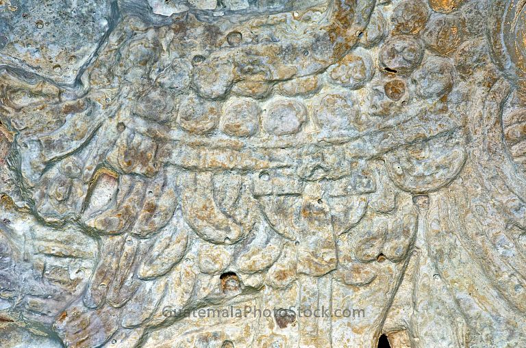 Detalle de estela maya en el Parque Nacional Tikal