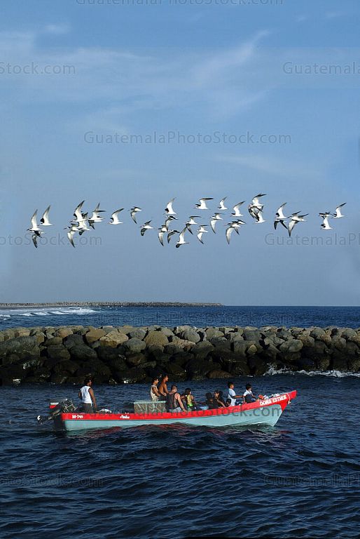 Estero del Puerto San José