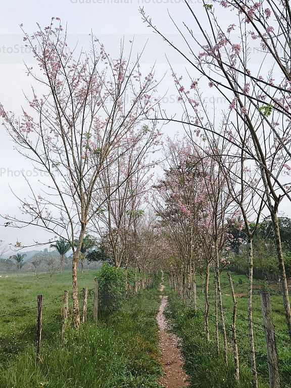 Camino a las cuevas de Setzol