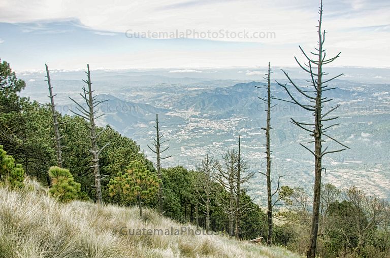 Paisaje de ascenso al Volcán de Agua