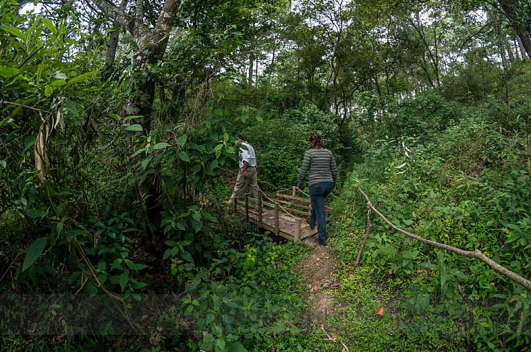 Senderos en Parque Ecológico