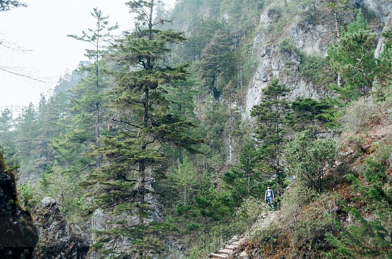 Sendero Ecológico La Maceta
