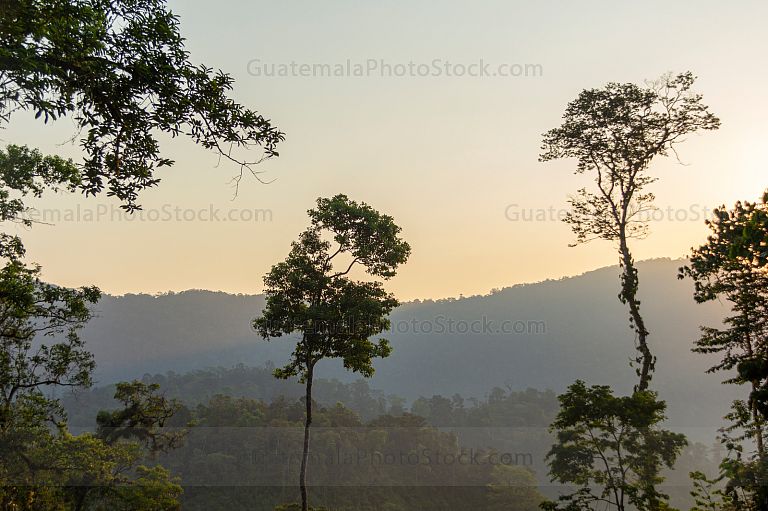 Naturaleza guatemalteca