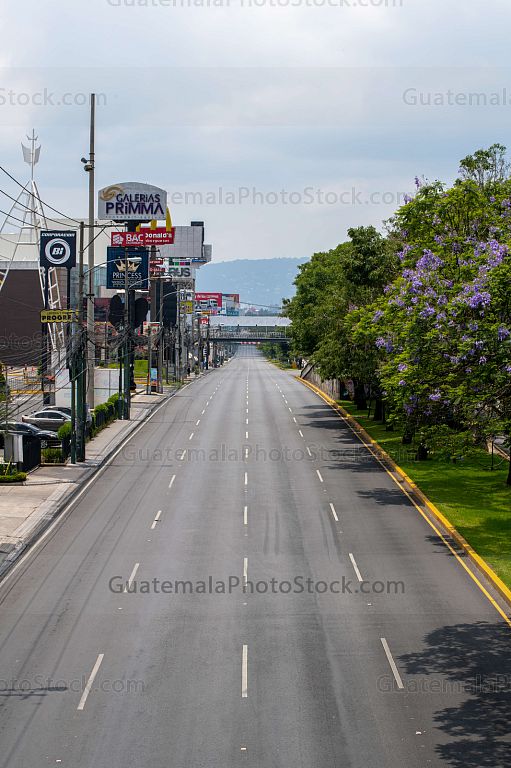 Calzada Roosevelt, Zona 11