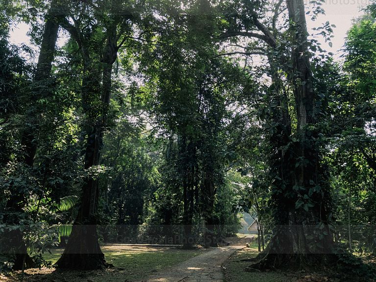 Sitio Arqueológico Quirigua