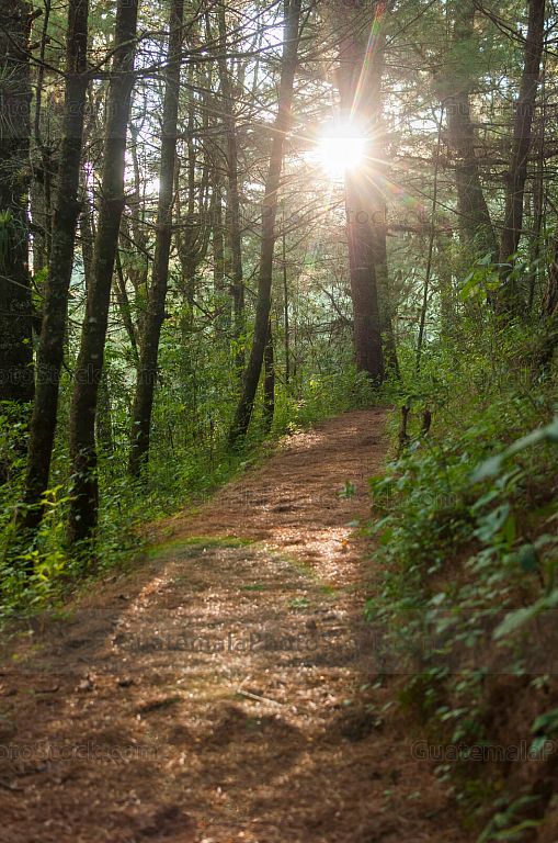 Sendero en el parque ecológico Chajil Siwan