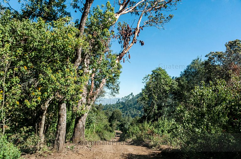 Camino rural en el Cerro Cantel, Quetzaltenango