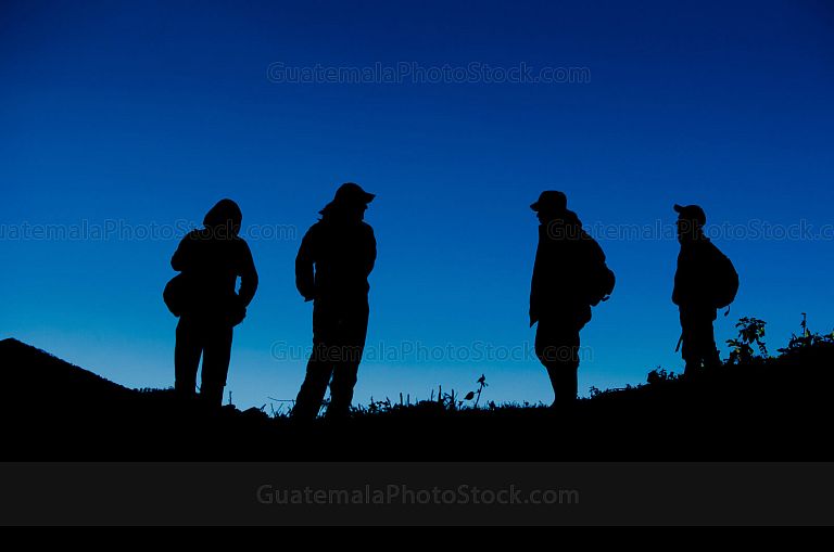 Siluetas al amanecer