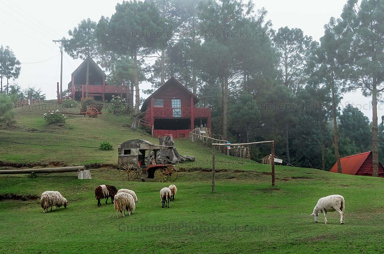 Parque Ecológico Pino Dulce
