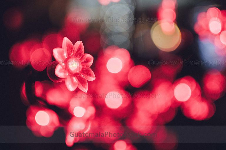 Luces de fin de año