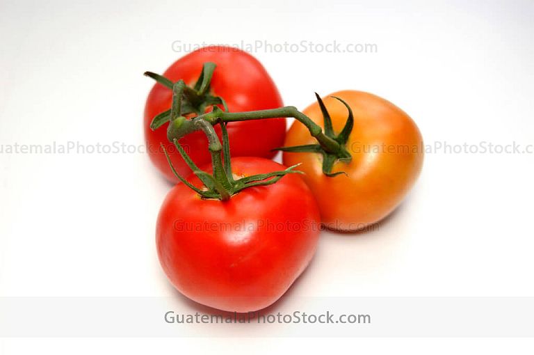 Tomates