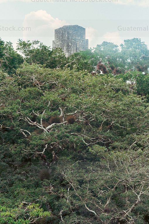 Parque Nacional Tikal