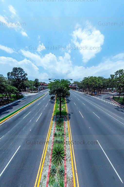 Trebol, Zona 11