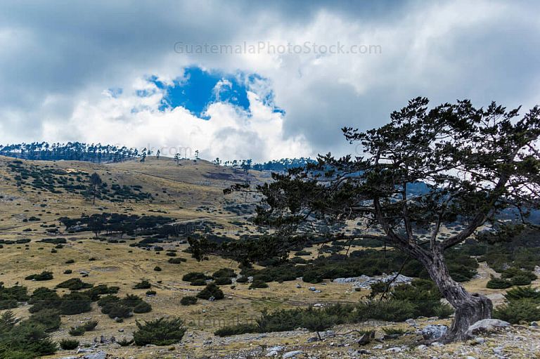 Paisaje rocosos de la Sierra de los Cuchumatanes