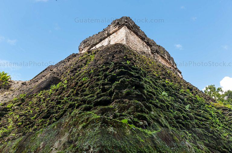 Ruinas de Tikal