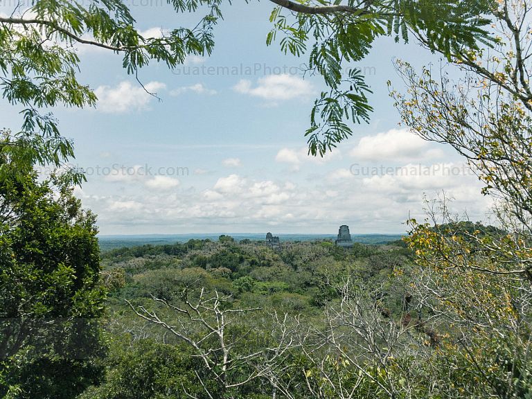 Paisaje con los templos de Tikal