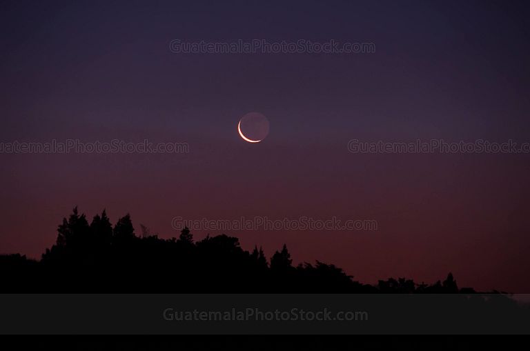 Luna al amanecer