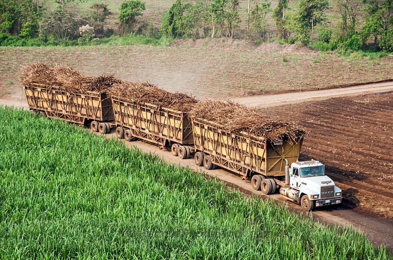 Trailer en Ingenio azucarero