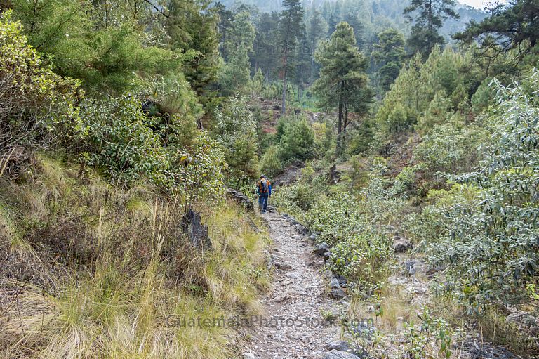 Sendero La Maceta