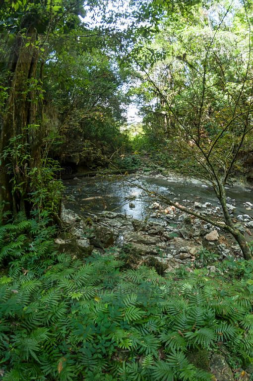 Río Candelaria