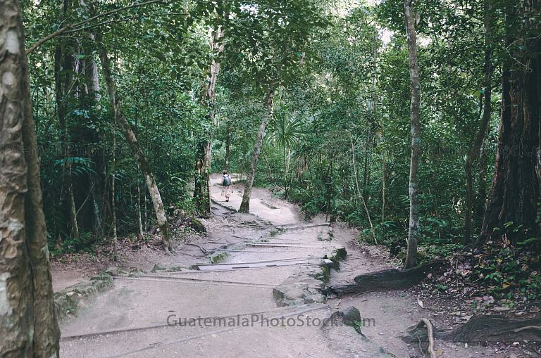 Sendero en Parque Nacional Petén