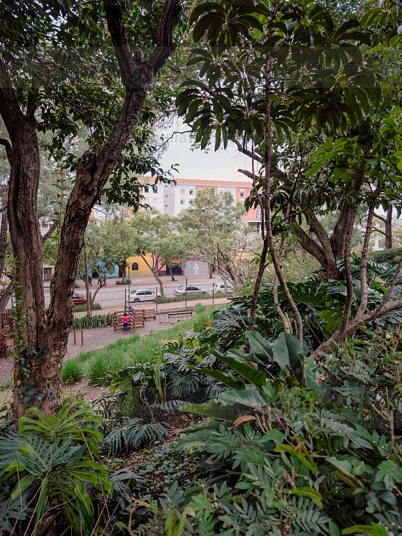 Jardinización en el Cerrito del carmén
