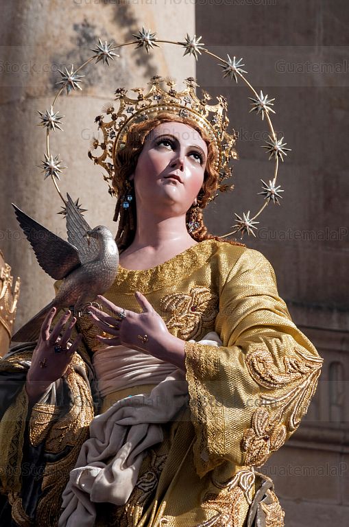 Consagrada Imagen de la Inmaculada Concepción
