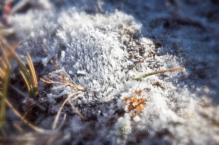 Escarcha de hielo en el crater del Volcán de Agua
