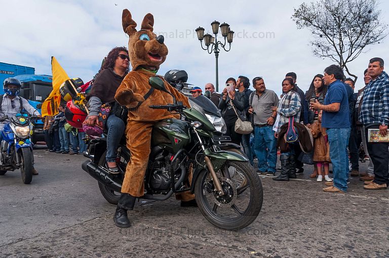 Participante en la Caravana del Zorro