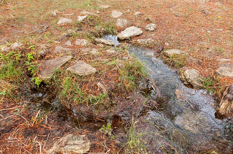 Nacimiento del Río Lagartero
