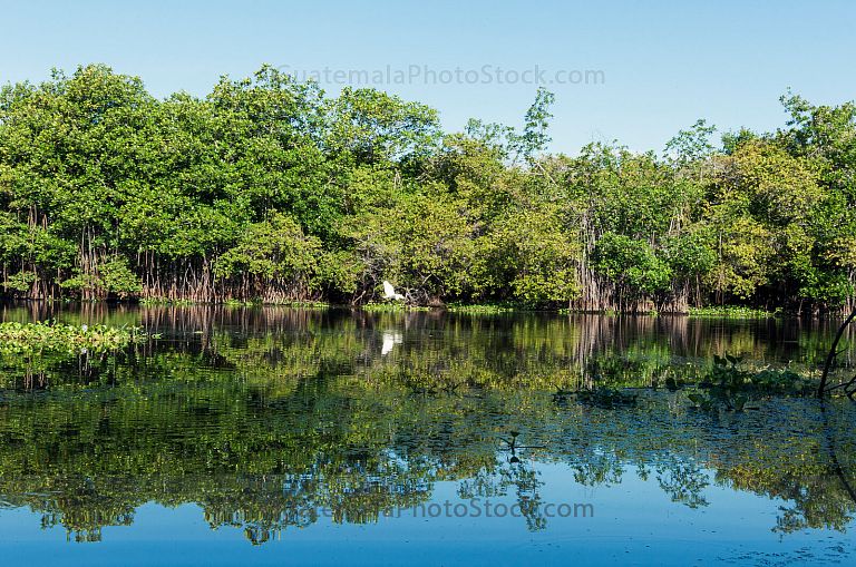 Canal de Chiquimulilla